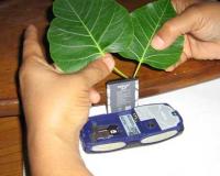 Chargeur à la chlorophylle